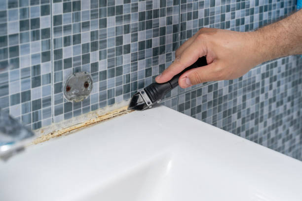 Best Local Mold Removal Service  in St Ansgar, IA